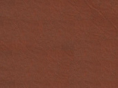 CALIBER CV92504  Henna  90x140 см винил