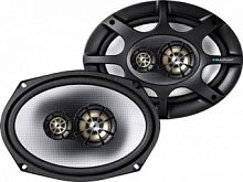 BLAUPUNKT GTx 693SC Акустическая система
